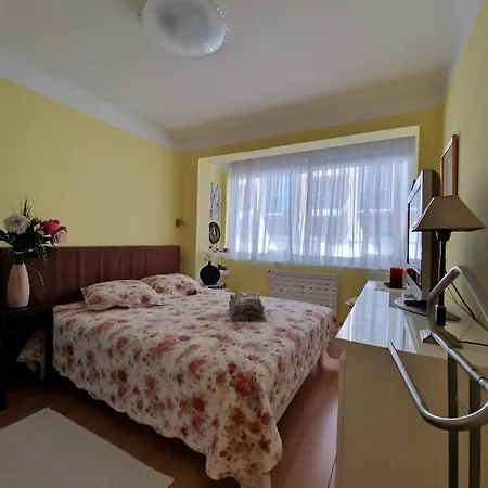Apartment Comfortable In *